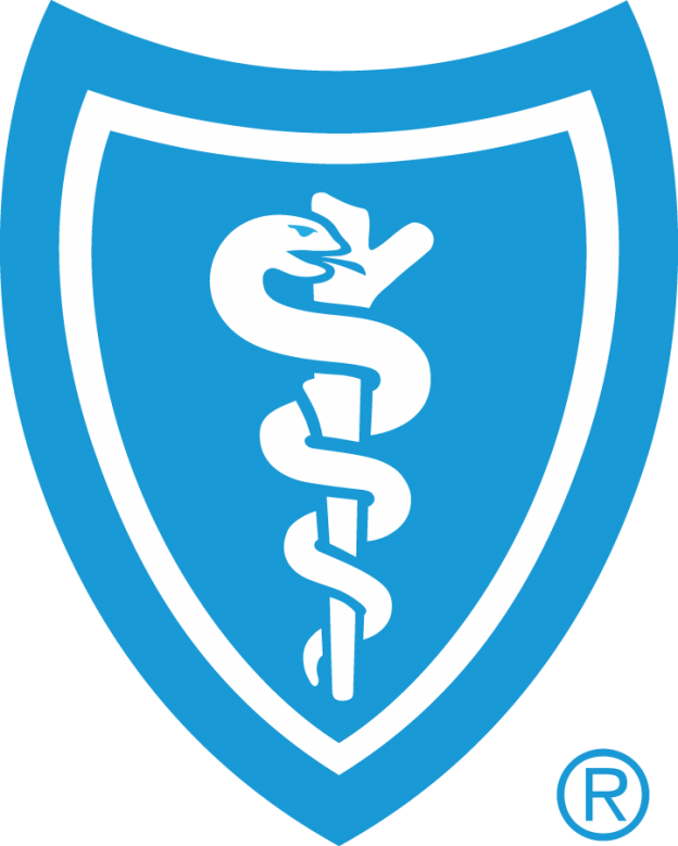 Blue Cross Blue Shield Icon at Vectorified.com | Collection of Blue ...