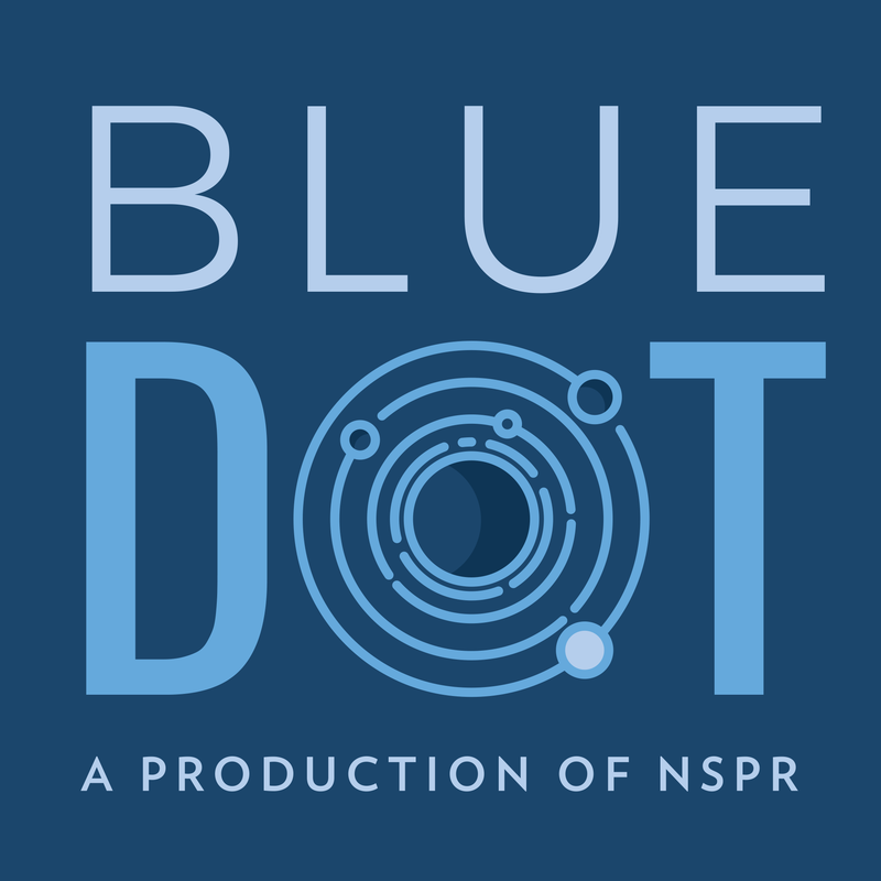 800x800 Blue Dot Nspr
