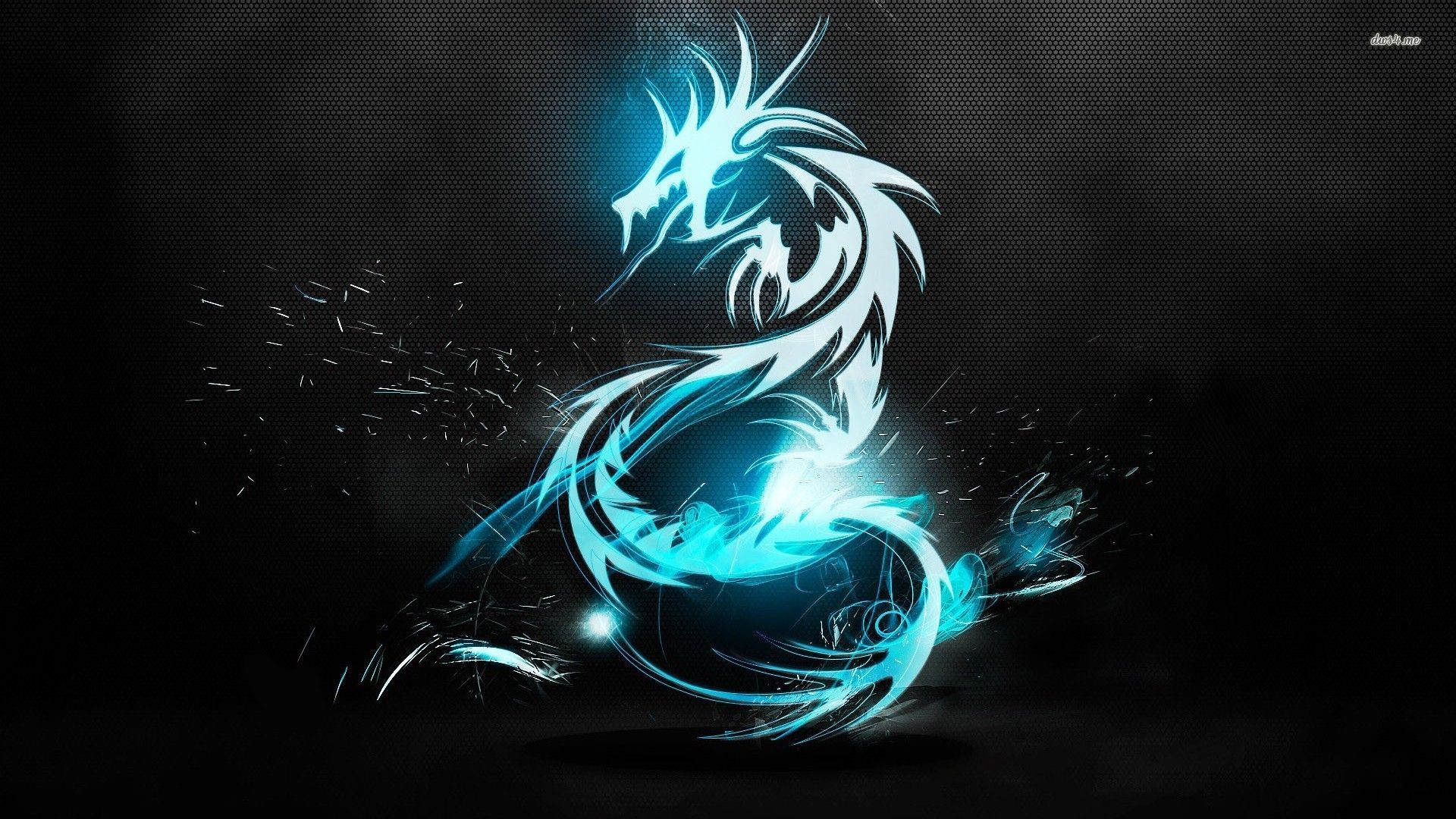 1920x1080 Blue Dragon Hd Wallpapers