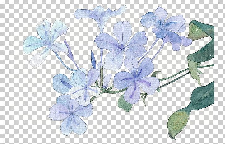 728x466 Blue Flower Icon Png, Clipart, Blue, Branch, Color, Cornales