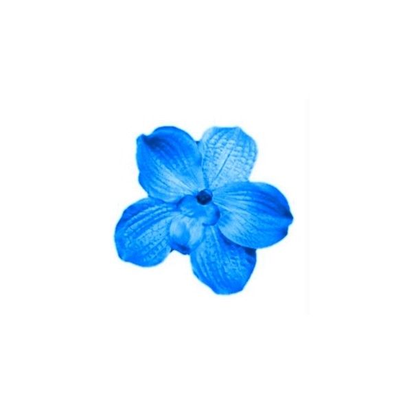 600x600 Tumblr Liked On Polyvore Featuring Flowers, Icon Flowers