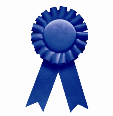Blue Ribbon Icon