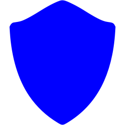 256x256 Blue Shield Icon