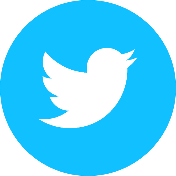 607x606 Blue Twitter, Twitter Logo, Twitterbird, Twitterbird Logo Icon