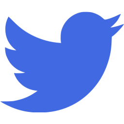 256x256 Royal Blue Twitter Icon