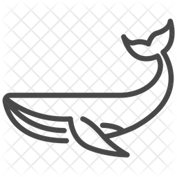 256x256 Blue Whale Icon Of Line Style