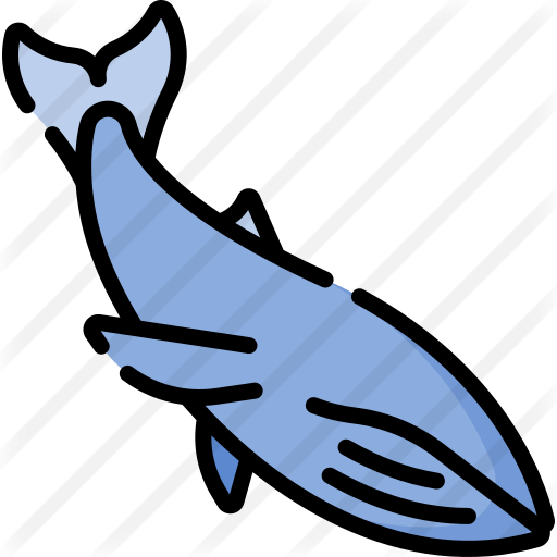 512x512 Blue Whale