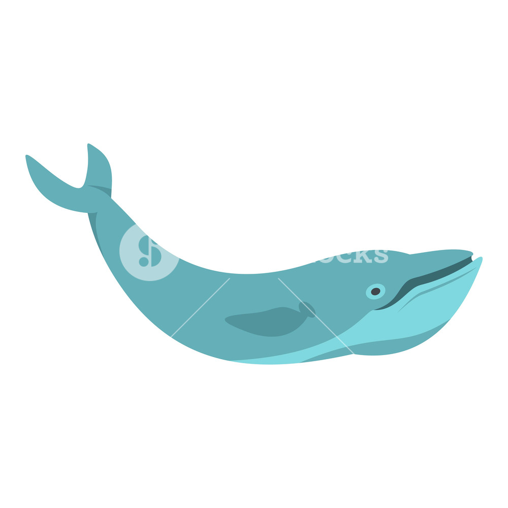 Blue Whale Icon at Vectorified.com | Collection of Blue Whale Icon free ...