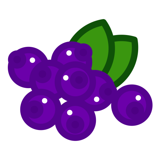 Blueberry Icon
