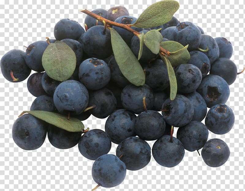 800x622 Blueberry Icon, Blueberries Transparent Background Png Clipart