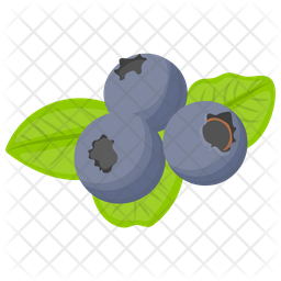256x256 Blueberry Icon Of Flat Style
