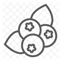 256x256 Blueberry Icon Of Line Style