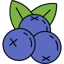 128x128 Blueberry Icons