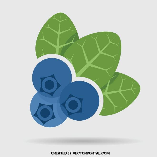 660x660 Blueberry Fruit Icon