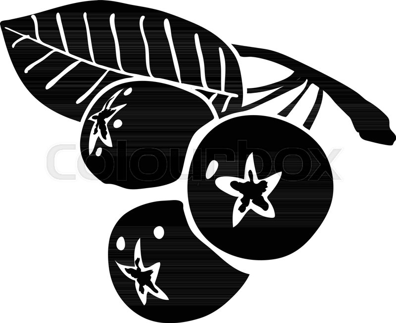 800x654 Blueberry Icon Simple Illustration Of Stock Vector Colourbox