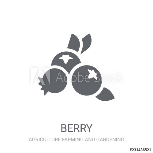 500x500 Blueberry Icon Trendy Blueberry Logo Concept On White Background