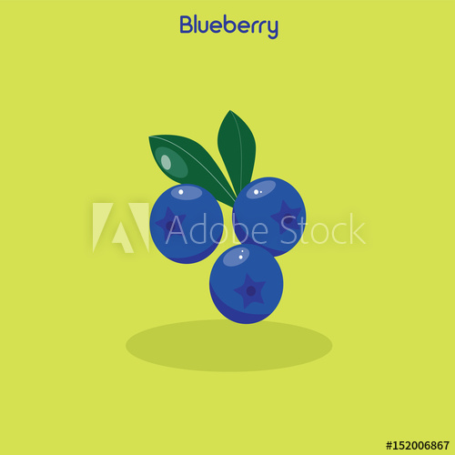 500x500 Blueberry Icon Vector Illustration