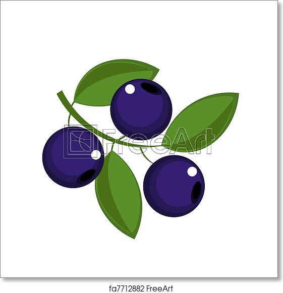 561x581 Free Art Print Of Blueberry Blueberry Fruits Icon
