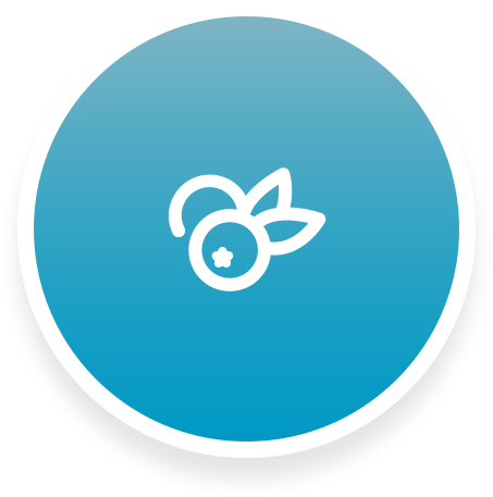 453x457 Blueberry Icon