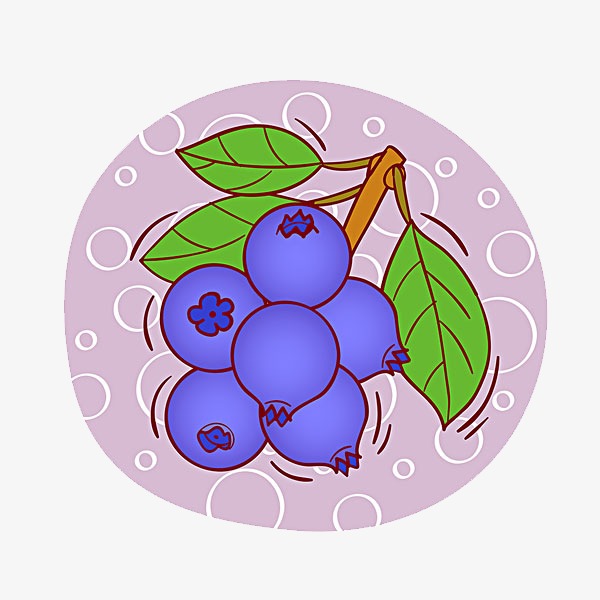 600x600 Blueberry