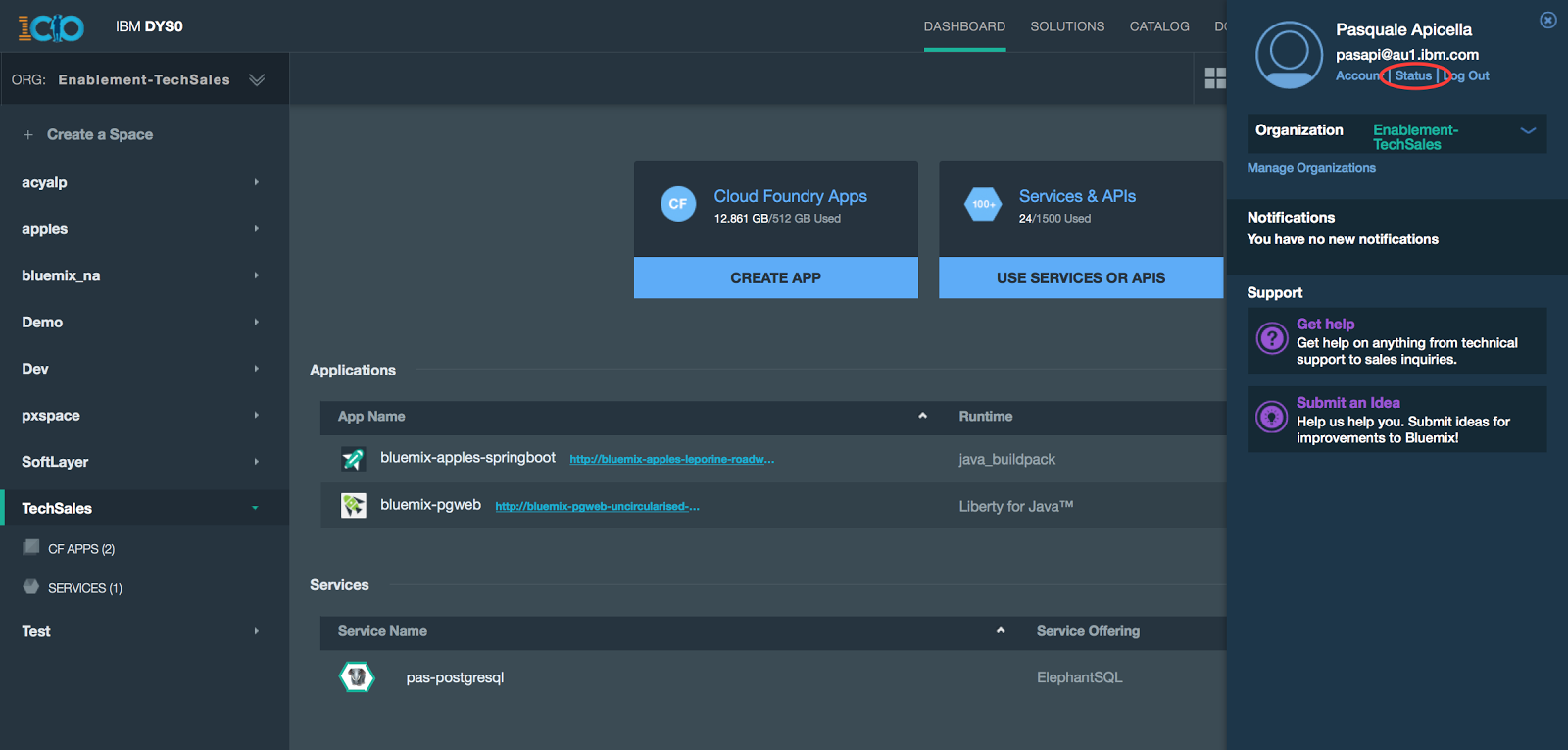1600x765 The Blas From Pas Ibm Bluemix Dedicatedlocal Status Page