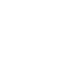 256x256 White Bluetooth Icon
