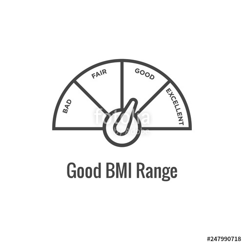 500x500 Bmi Body Mass Index Icon
