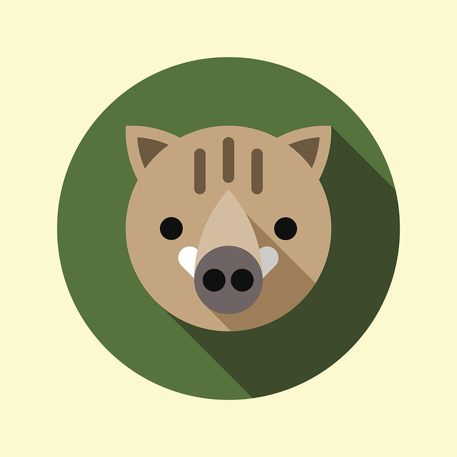 900x900 Cute Little Boar Icon Animal Icons Series