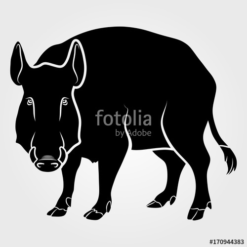 500x500 Wild Boar Icon Isolated On White Background Stock Image