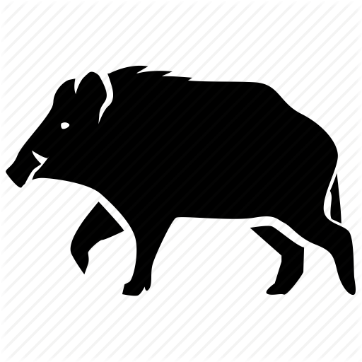512x512 Boar, Feral, Game, Hunting, Pig, Swine, Wild Icon