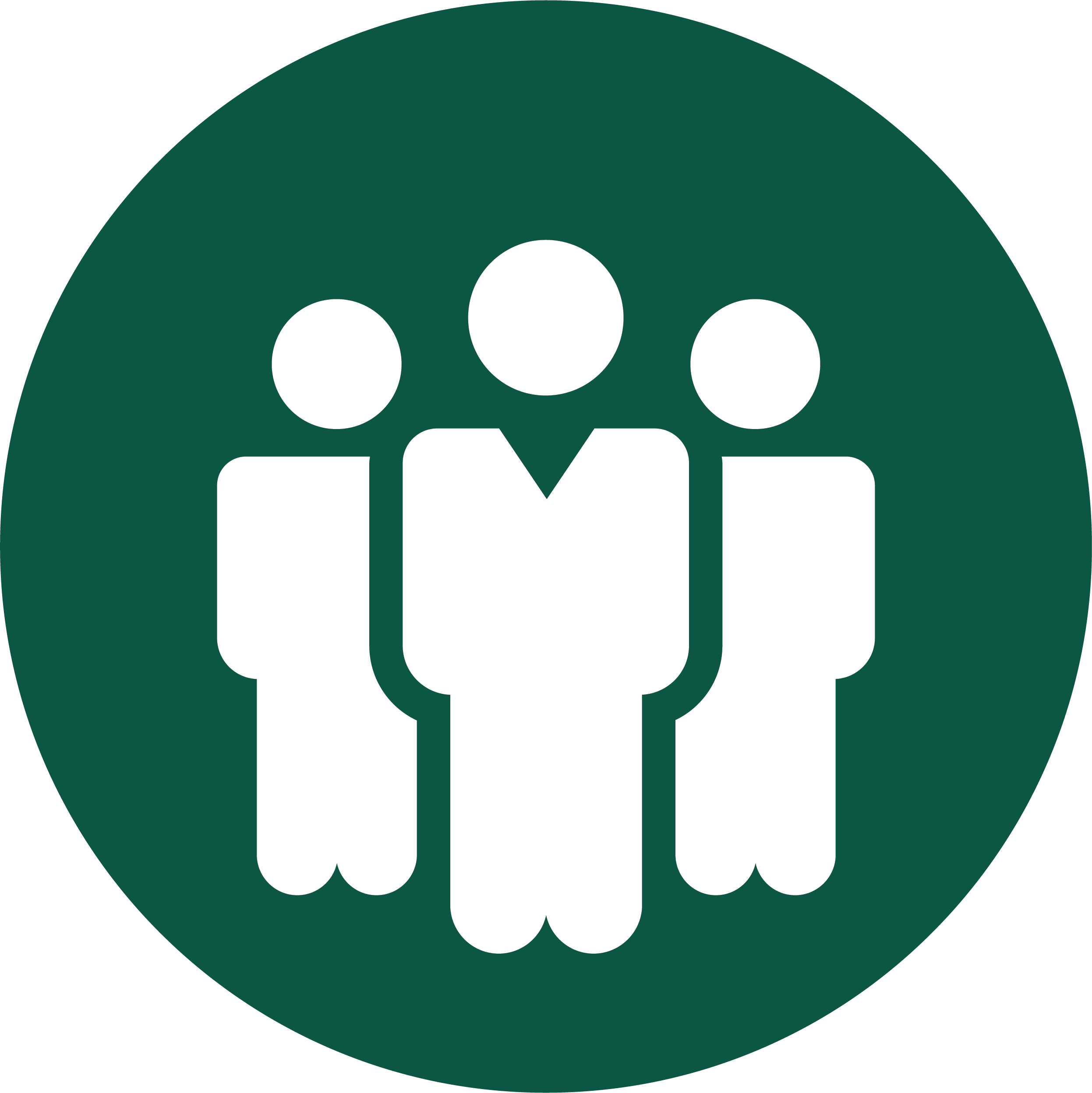 2493x2494 Board Of Directors Icon Round