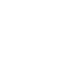 256x256 White Sail Boat Icon