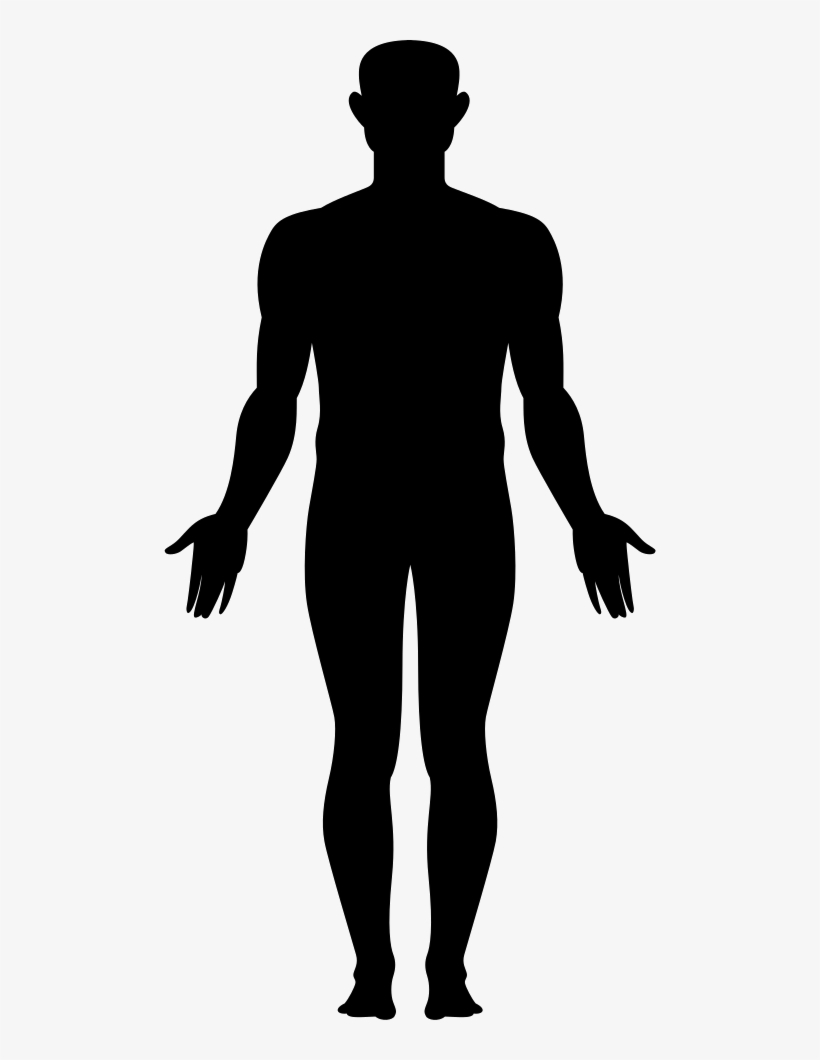 Body Icon at Vectorified.com | Collection of Body Icon free for ...