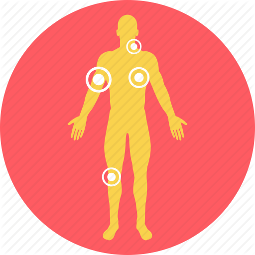 512x512 Anatomy, Bodyparts, Human, Human Body, Joints, Nervous System
