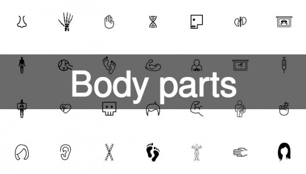Body Parts Icon