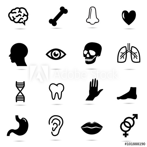 500x500 Body Parts Icon Collection Vector Art