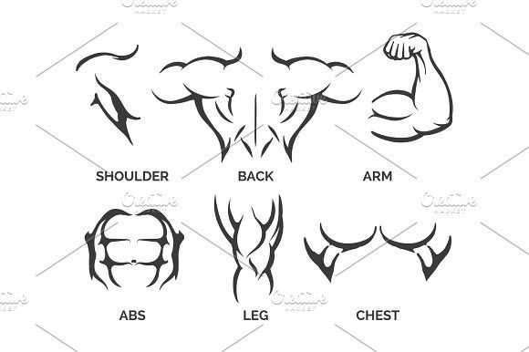 580x386 Bodybuilder Body Parts Icons Sport Icons Sport Icons Body