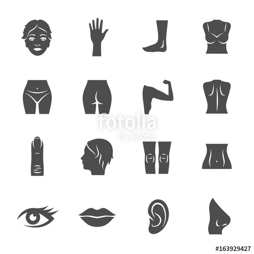 500x500 Female Body Parts Icons Stock Image And Royalty Free Vector