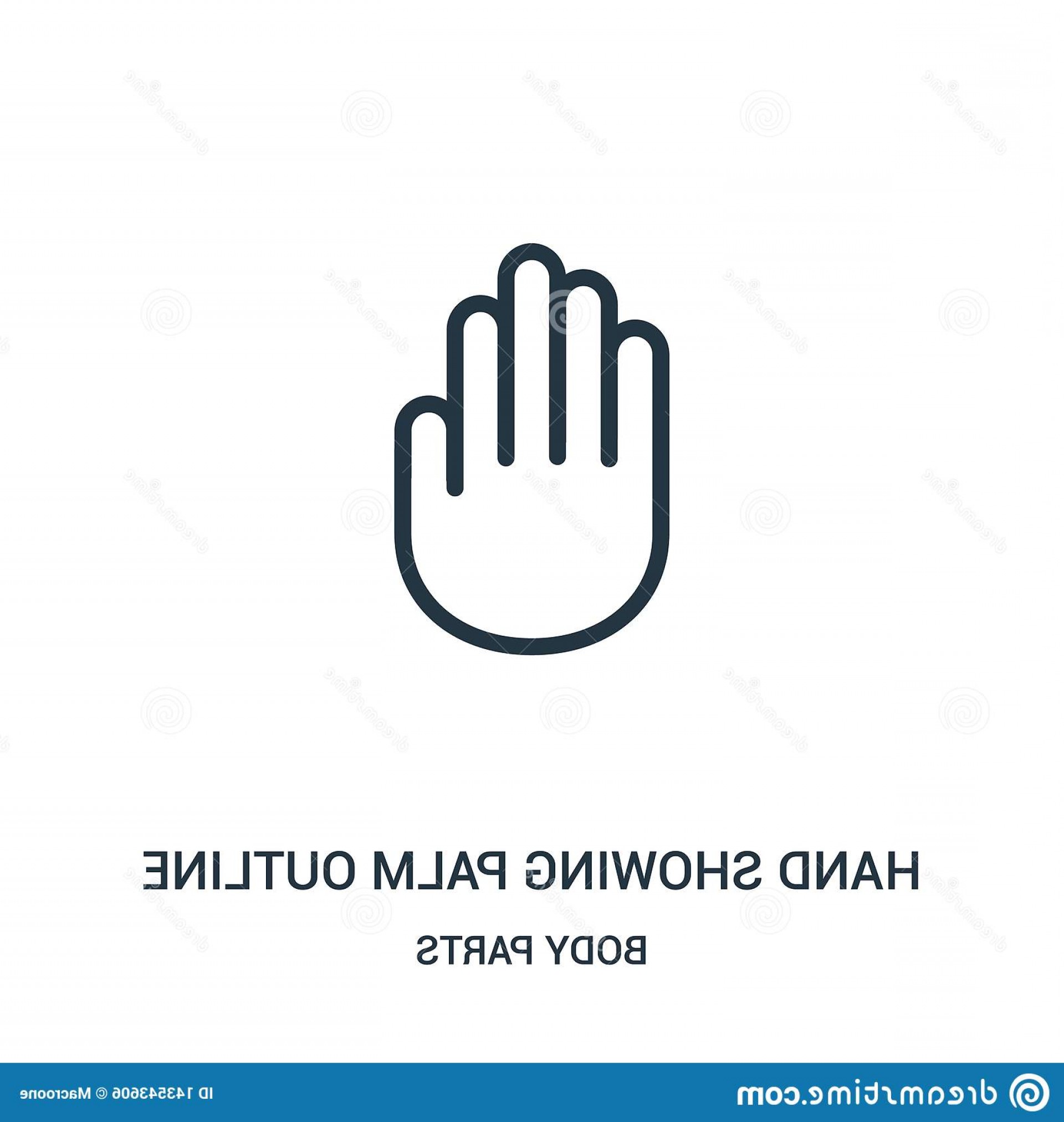 1920x2026 Hand Showing Palm Outline Icon Vector Body Parts Collection Thin
