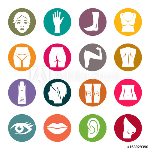 500x500 Human Body Parts Icon Set