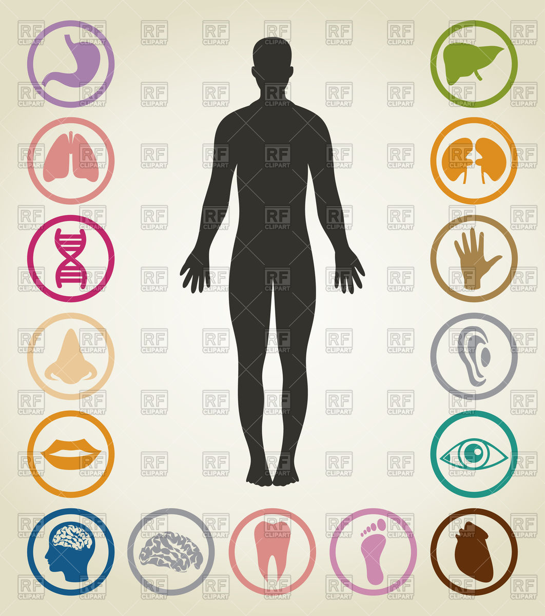 1062x1200 Man And Body Parts Icons Vector Image Of Healthcare, Medical