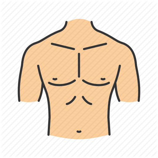 512x512 Abdomen, Body Part, Chest, Male, Neck, Shoulder, Torso Icon