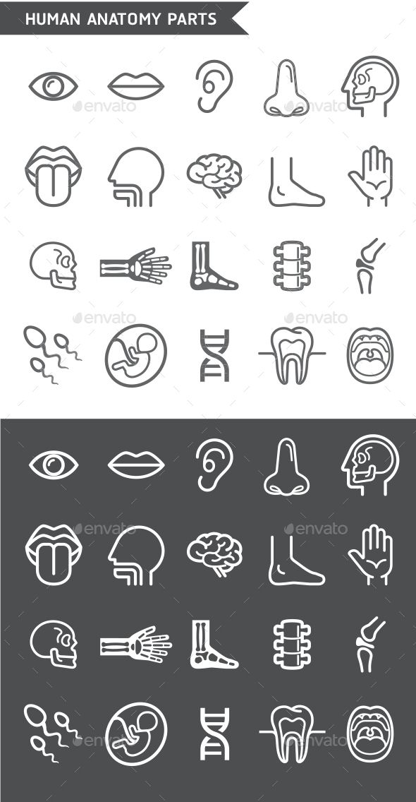 590x1136 Pin On Sketchnotes, Bullet Journals, And Other Visual Styles