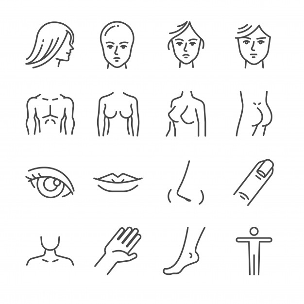 626x626 Beauty Salon Body Parts Line Icon Set Vector Premium Download