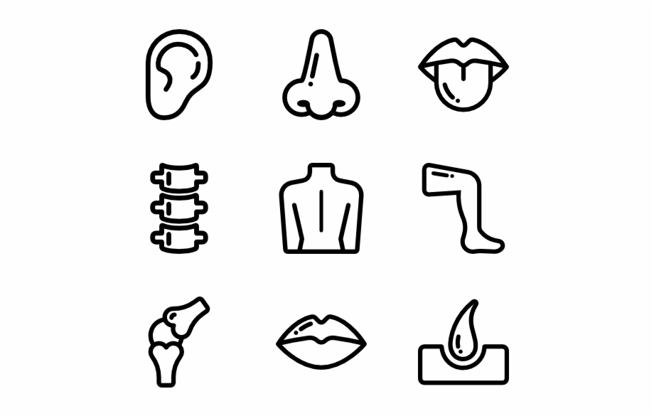 920x585 Body Icons Free Outline