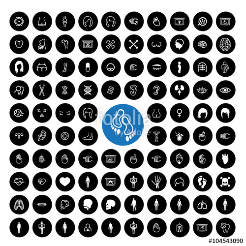 500x500 Body Parts Icon Set Stock Image And Royalty Free Vector