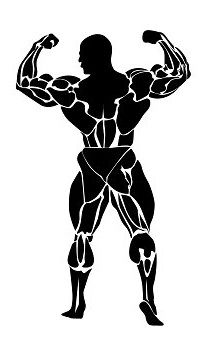 207x351 Bodybuilder Icon Bodybuilding Gallery Muscle Fitness