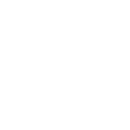 256x256 Free White Boeing Icon