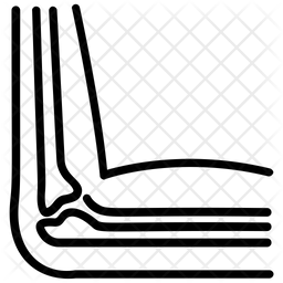 256x256 Broken Bone Icon Of Line Style