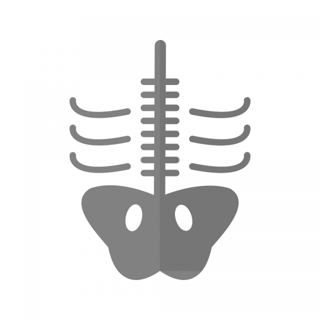 640x640 Xray Vector Icon, Bone Icon, Skeleton Icon, X Ray Icon Png